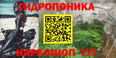 Альфа ПВП Сланцы