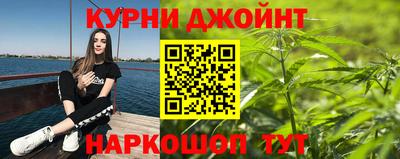 Альфа ПВП Сланцы