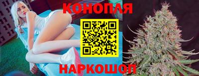 Альфа ПВП Сланцы