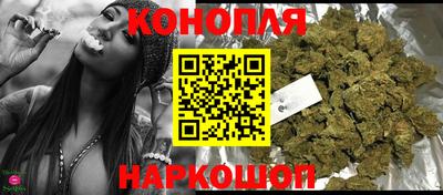 Альфа ПВП Сланцы