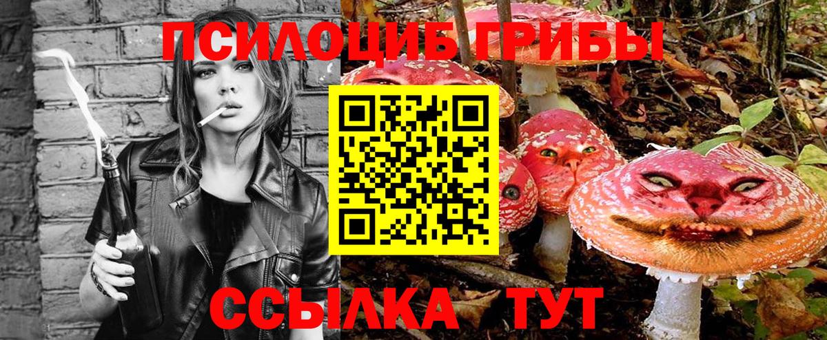 Псилоцибиновые грибы Cubensis  Вход с VPN  Партизанск 