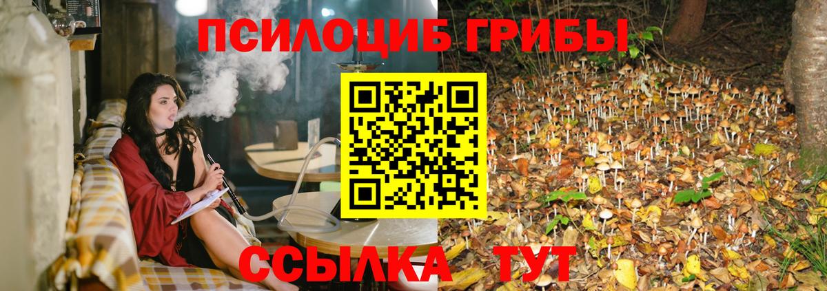 Галлюциногенные грибы Psilocybine cubensis Партизанск